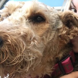 Meet your Posher, Claire